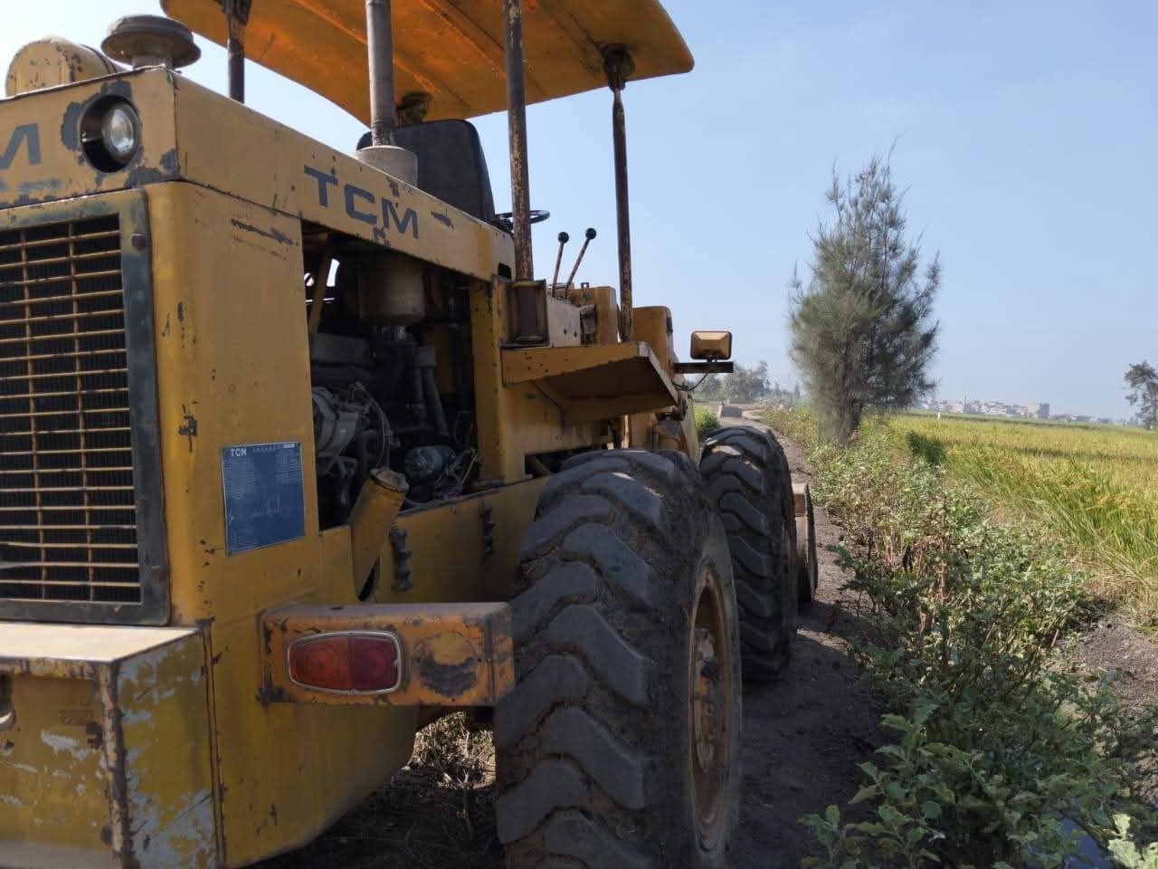 TCM loader for sale in Luxor, TCM 25 model 2000 available in Luxor, the best site for selling trucks and heavy equipment in Egypt